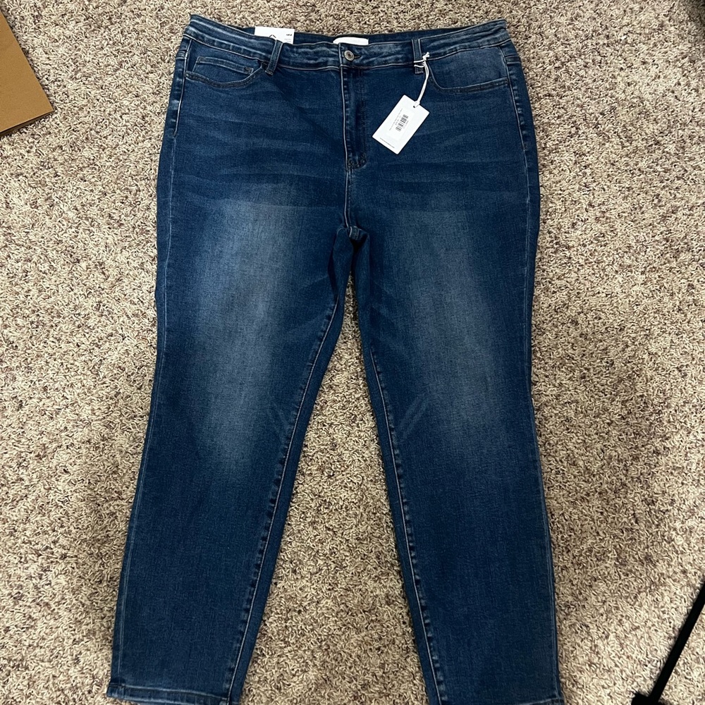Plus Vervet High Rise Skinny Size 22